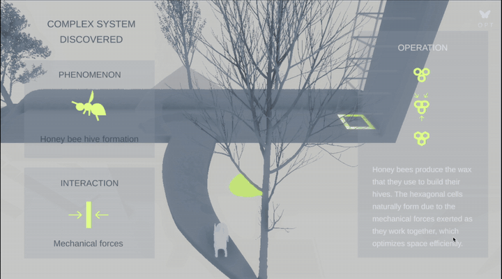 Lesson 3 with the bat swarm: exploring pattern stability by manipulating the speed parameter